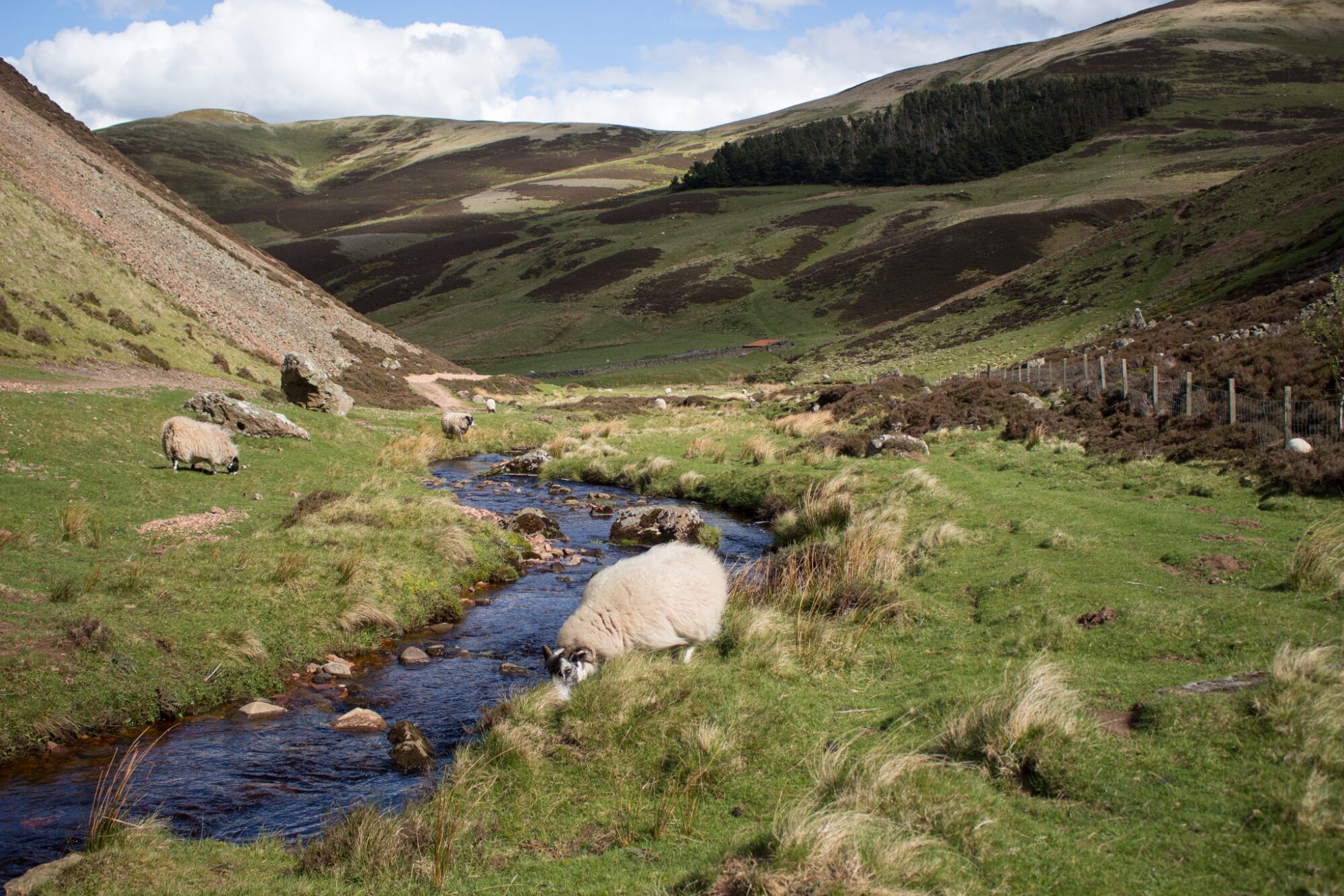 Pentland Hills National Park, Scotland © Anna Jirásková