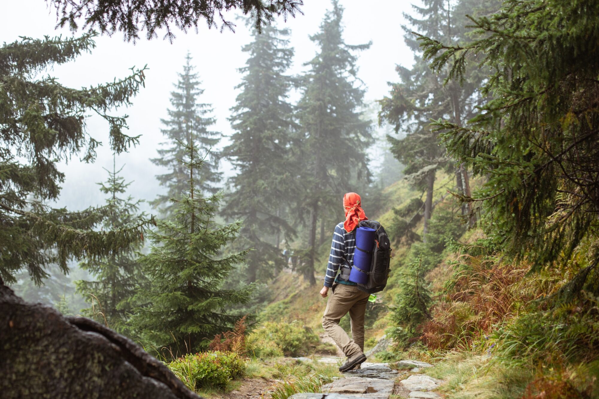 Podzimní mlha na Kozích hřbetech, Krkonoše © Anna Jirásková