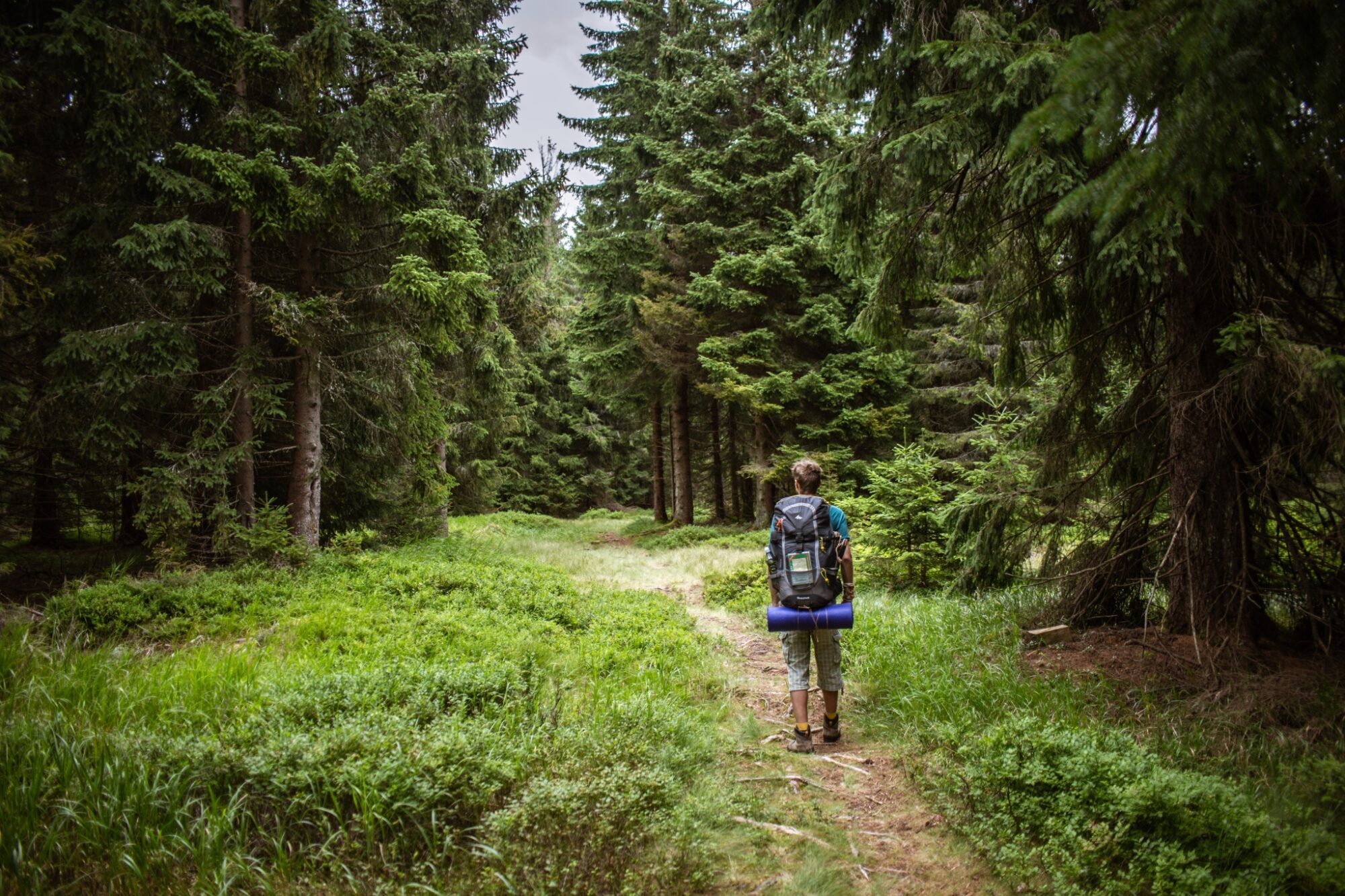 Božídarské rašeliniště v Krušných horách © Anna Jirásková