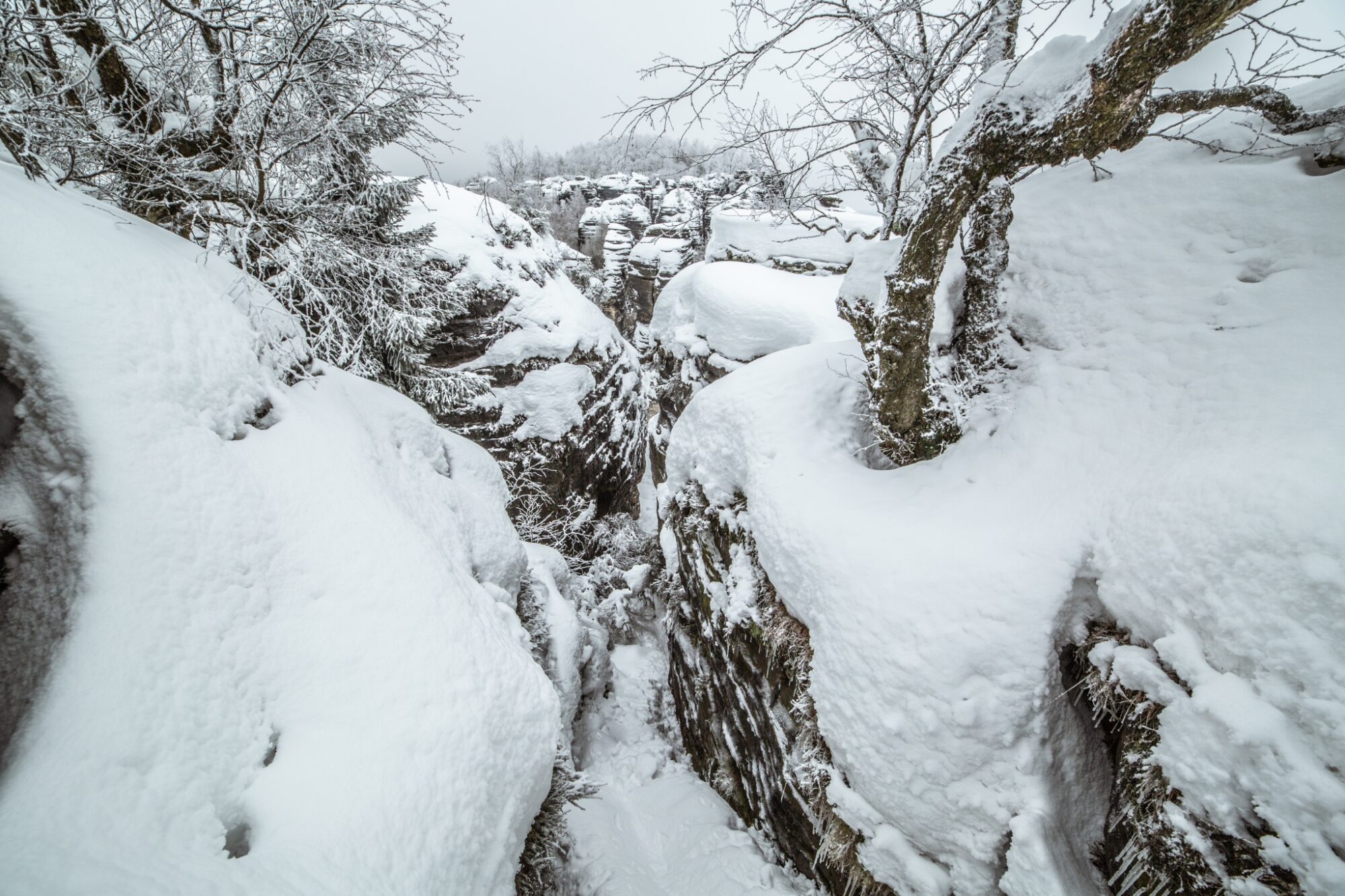 Zima v Tiských stěnách, Labské pískovce © Anna Jirásková