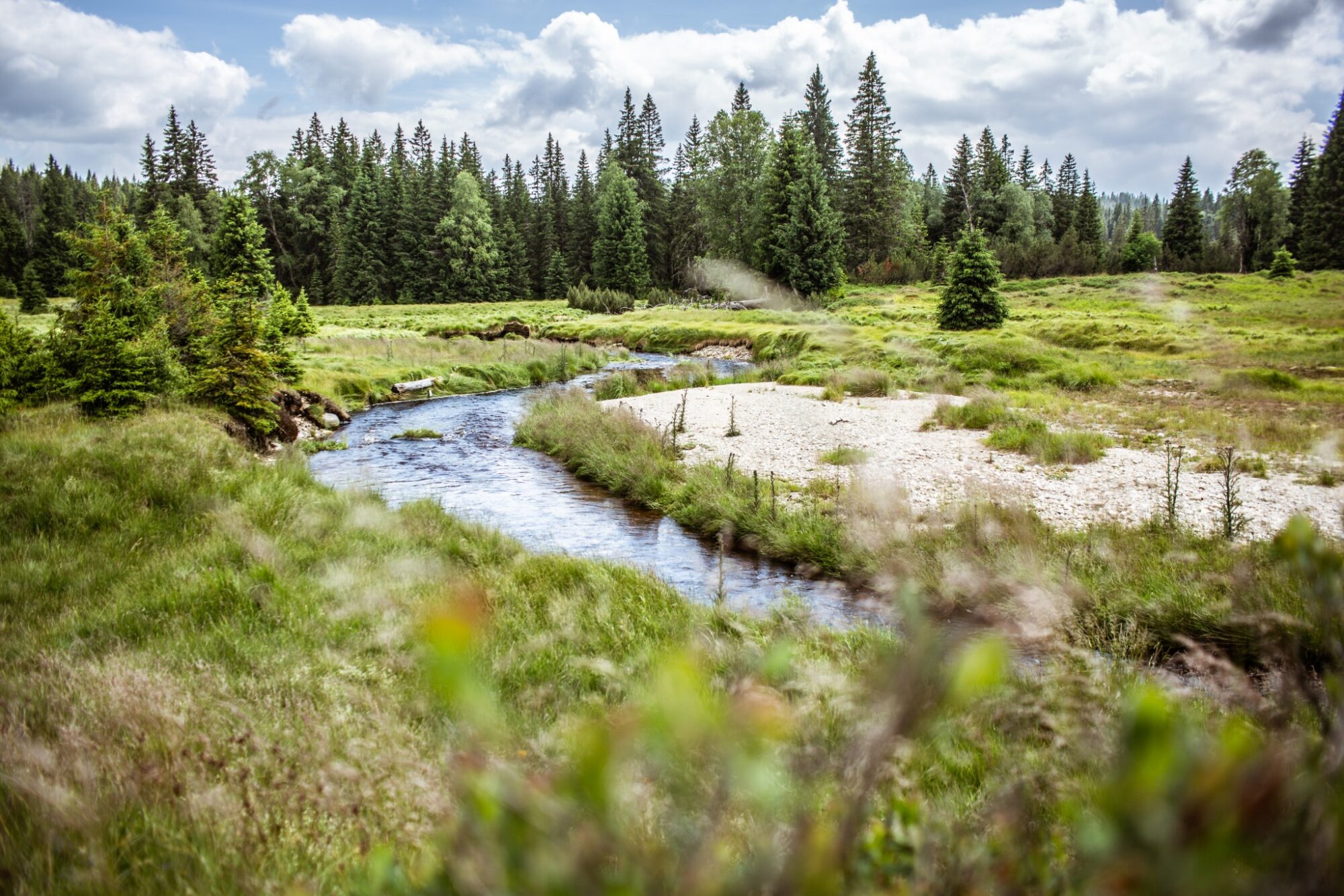 Šumava, Roklanský potok, Modrava © Anna Jirásková